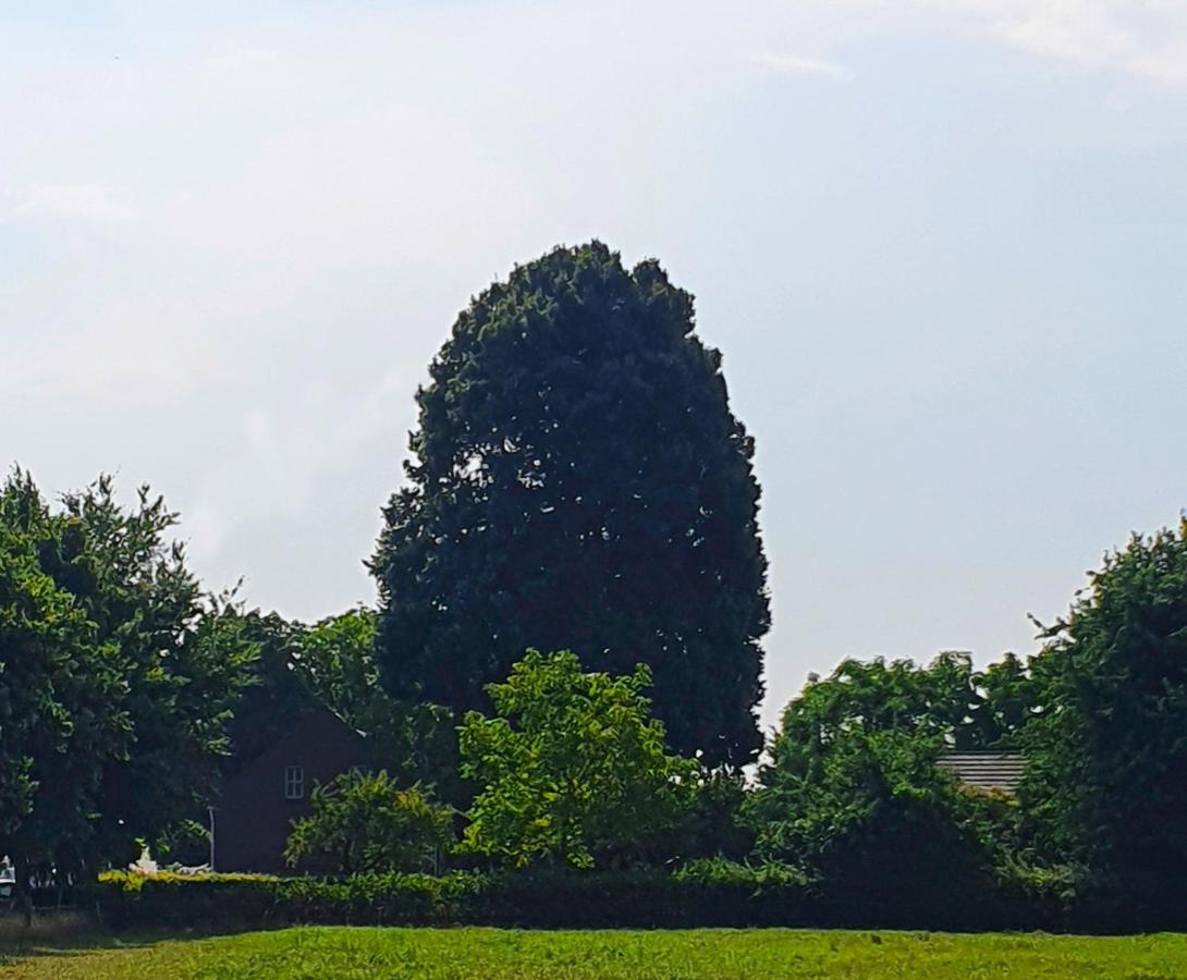 B&B De Nieuwenhof 'De Voorkamer' Melderslo Dış mekan fotoğraf
