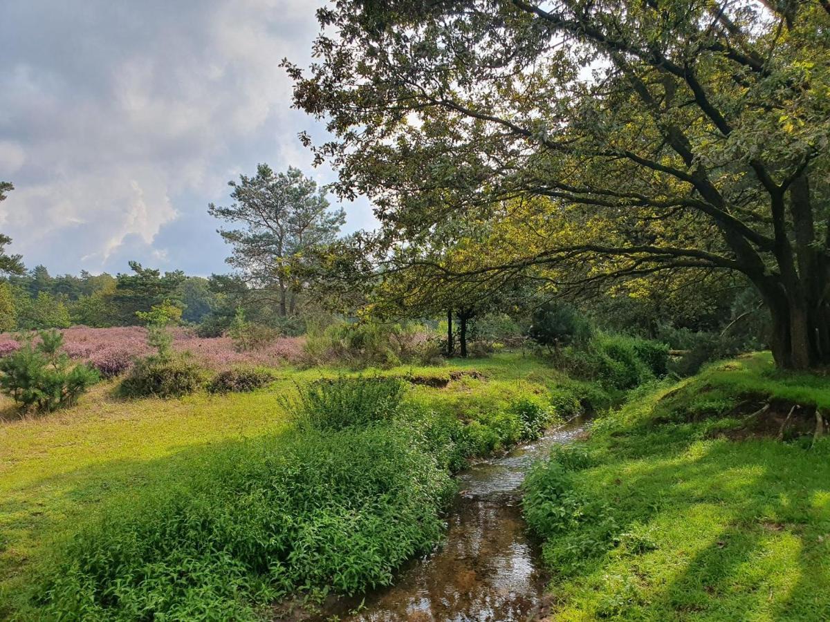 B&B De Nieuwenhof 'De Voorkamer' Melderslo Dış mekan fotoğraf